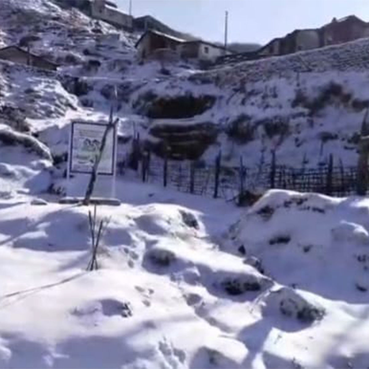 স্নো-ফল