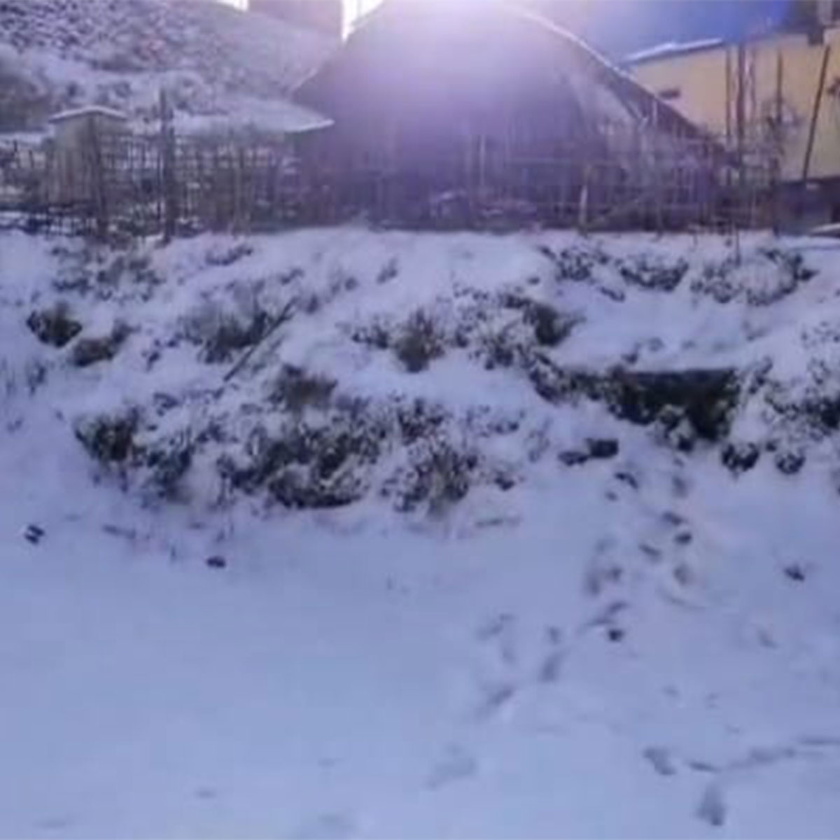 স্নো-ফল