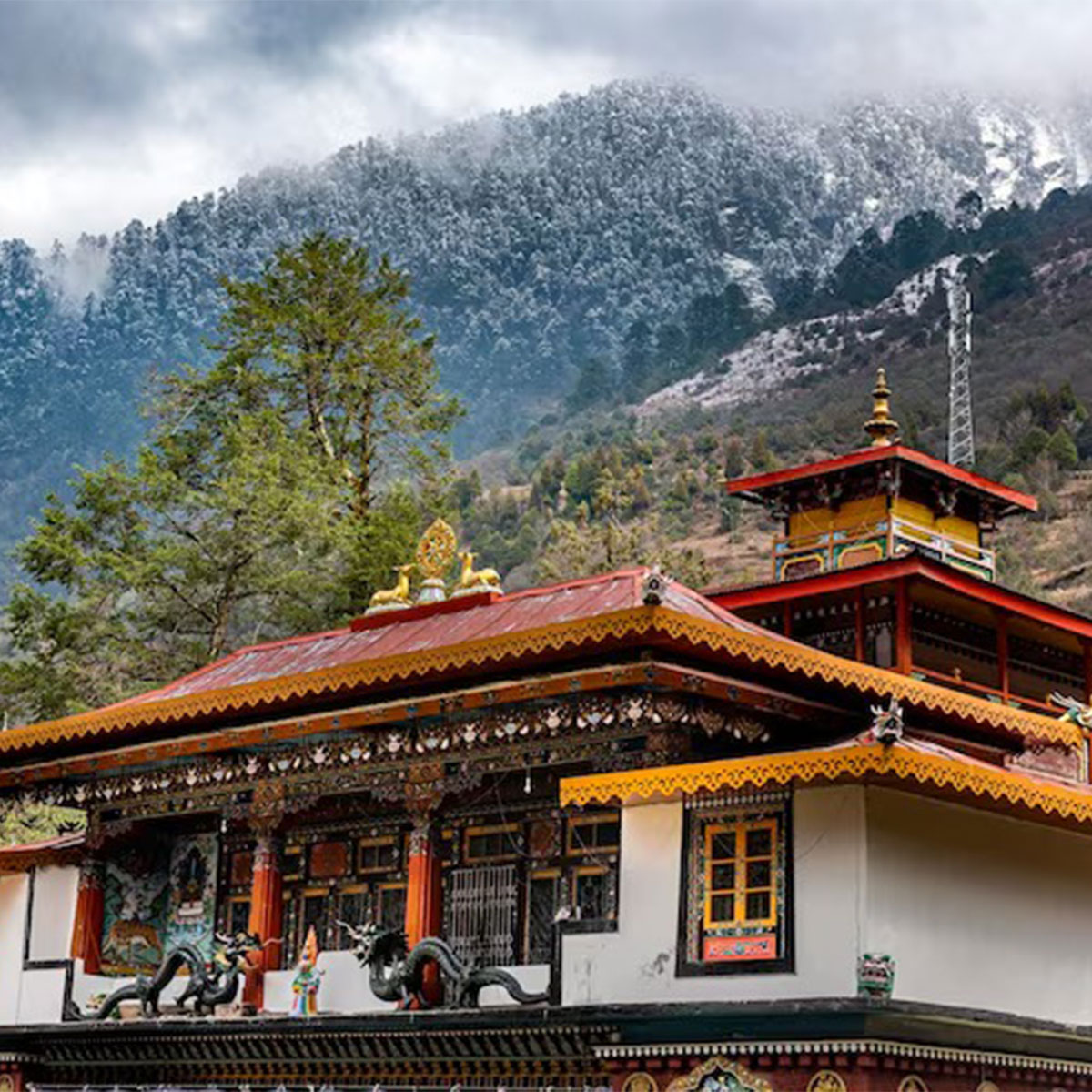 সুইজারল্যান্ড সুইজারল্যান্ড