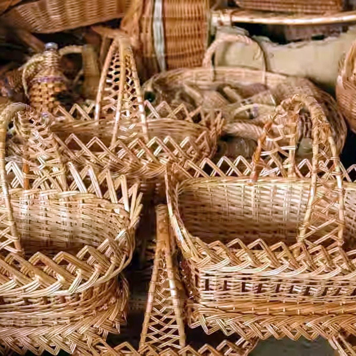 গরুমারা গরুমারা