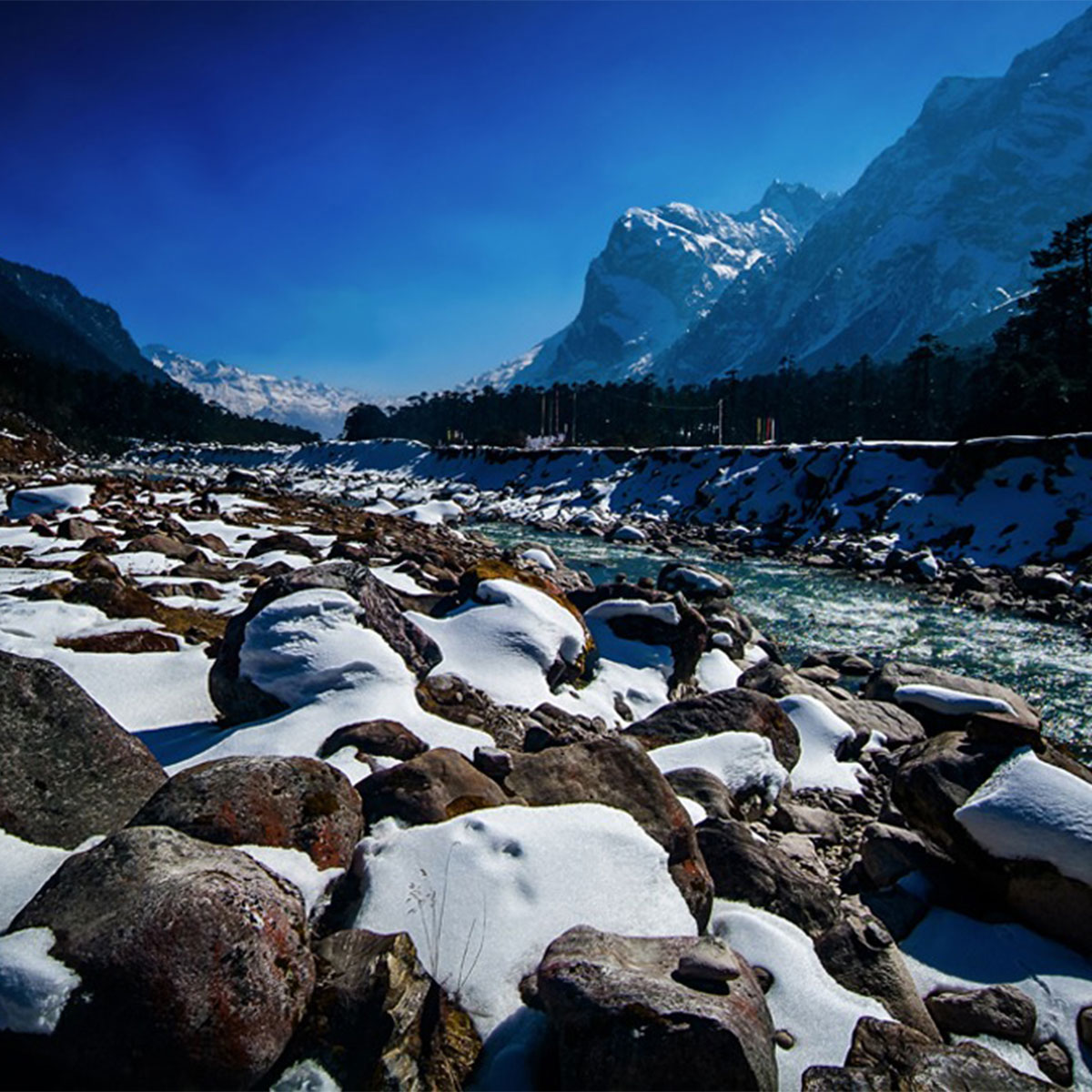 সুইজারল্যান্ড সুইজারল্যান্ড