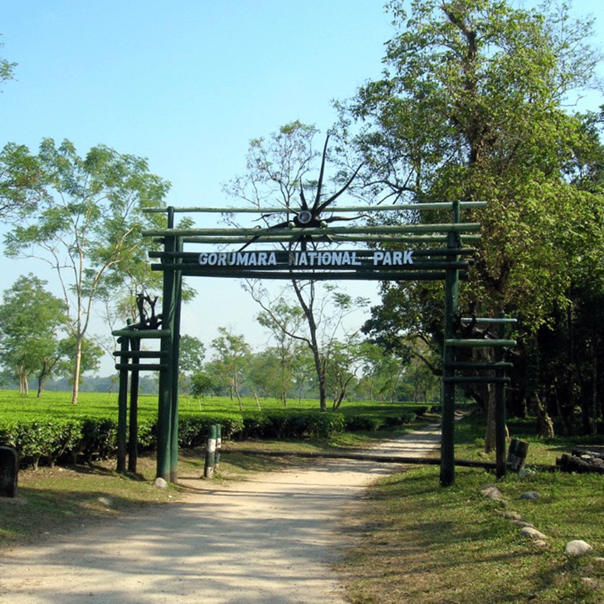 গরুমারা গরুমারা