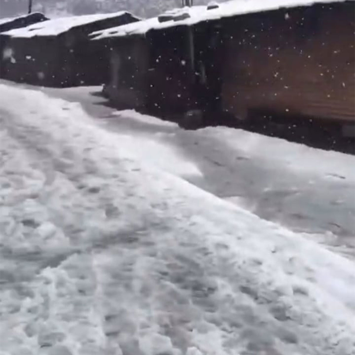 স্নো-ফল