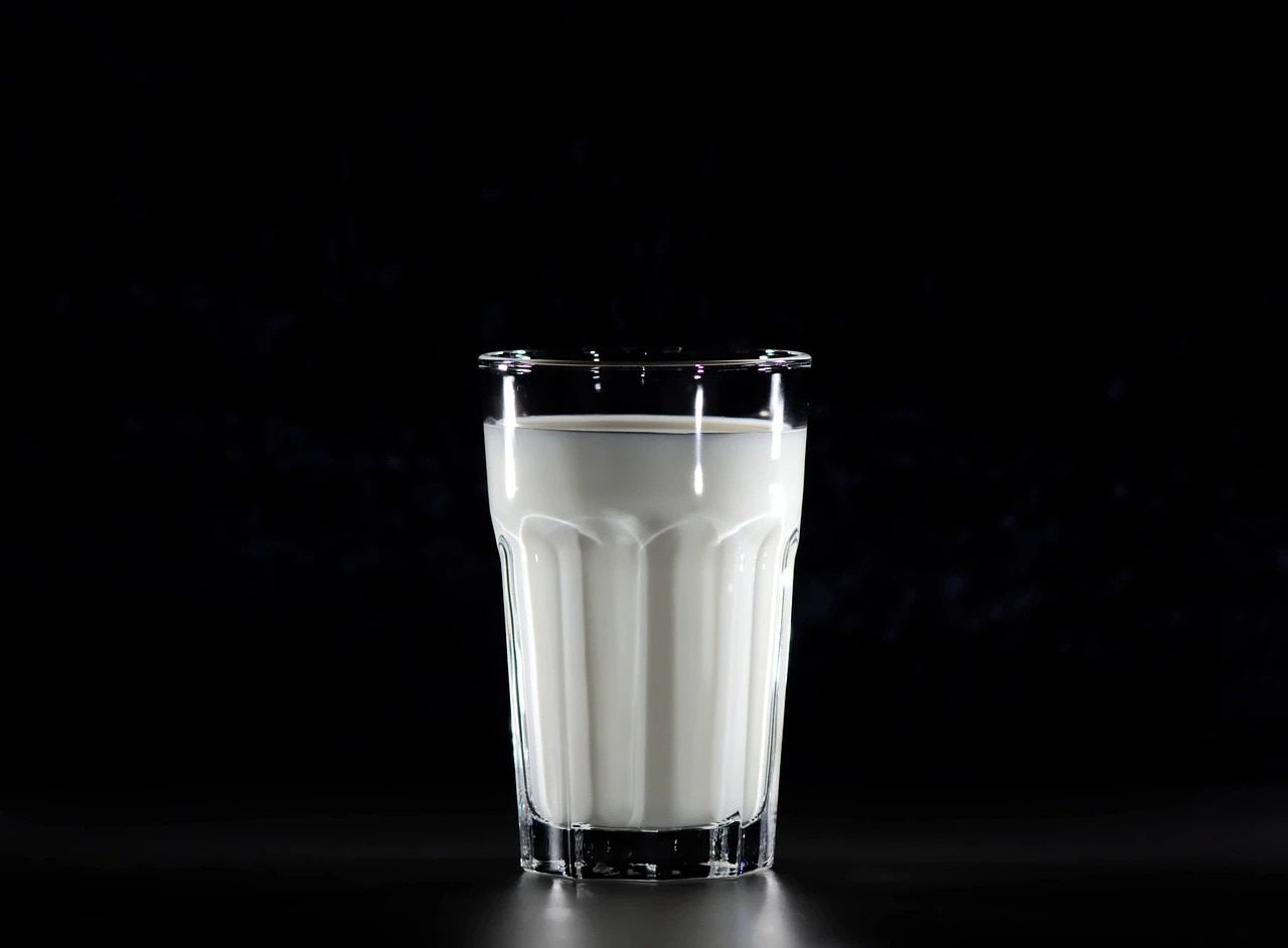 National Milk Day 2025