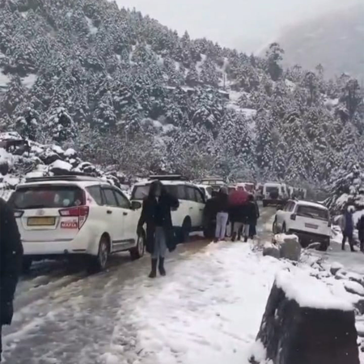 স্নো-ফল