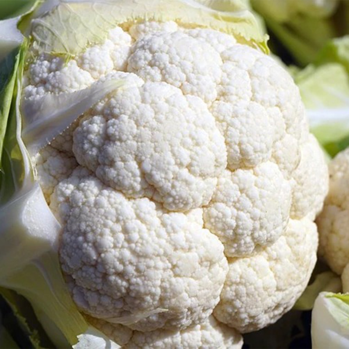 ফুলকপির রেজালা