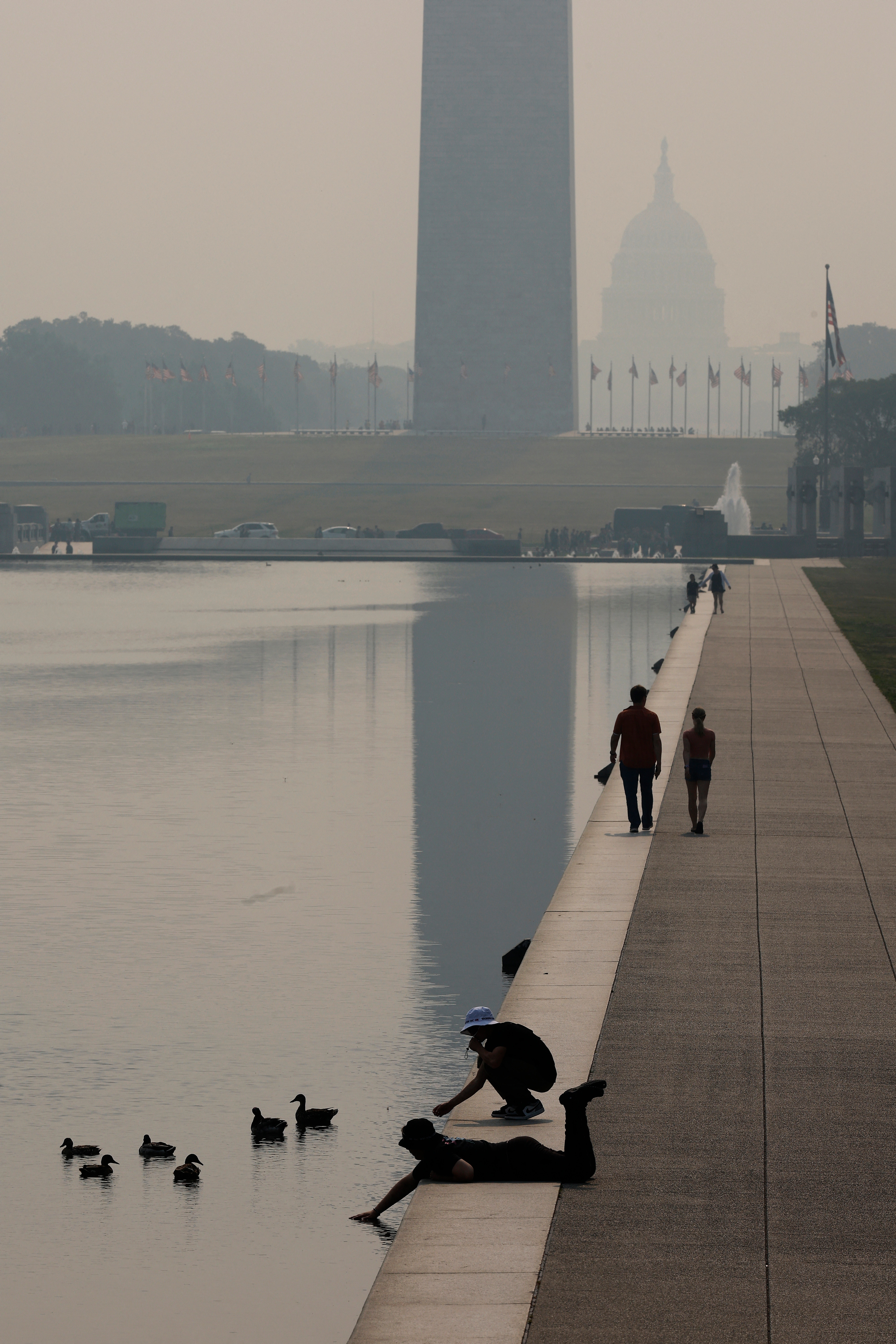 COVID এর চেয়েও ক্ষতিকর হয়ে গিয়েছে পরিস্থি