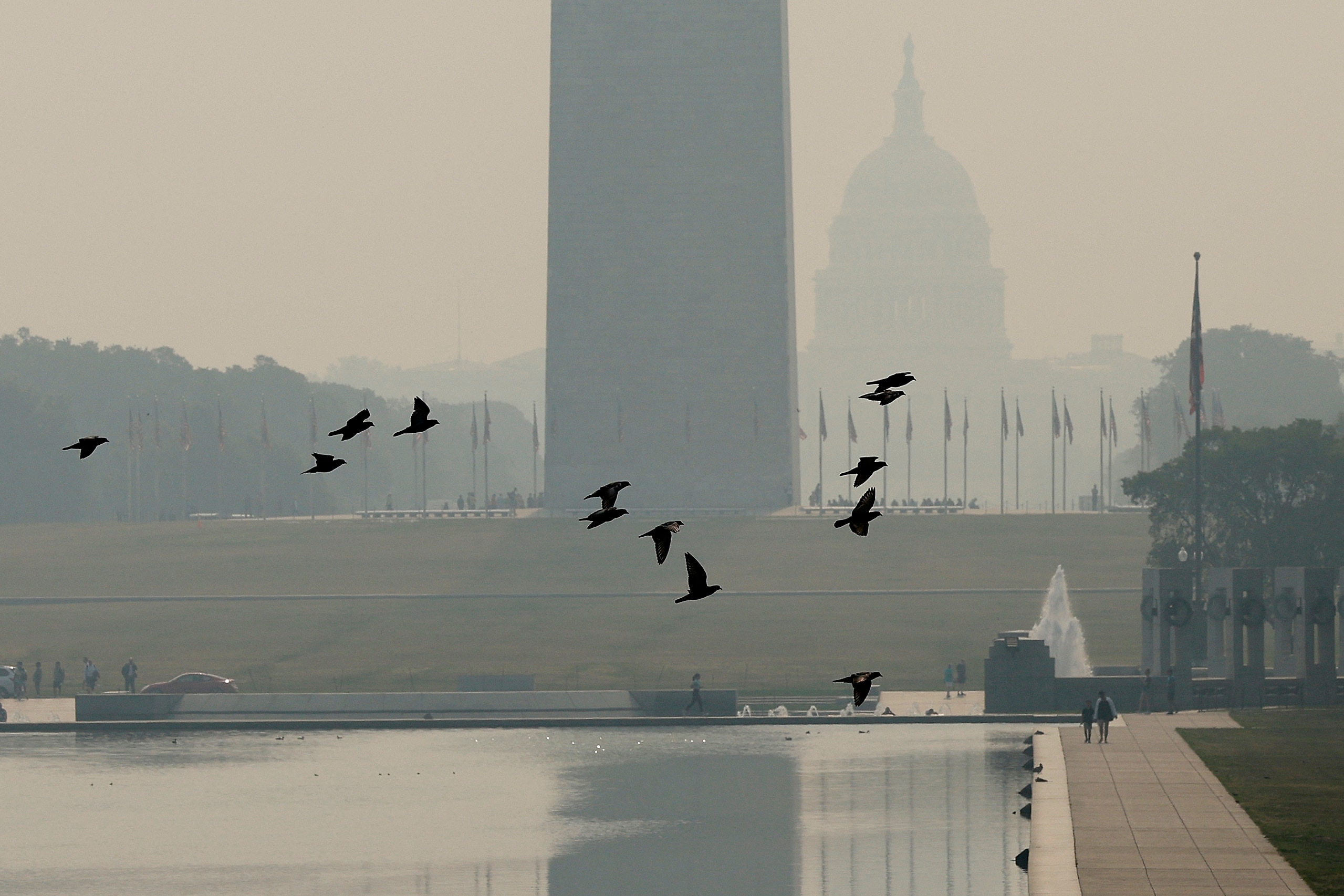 জনস্বাস্থ্যে জরুরি অবস্থা বলাই যায়