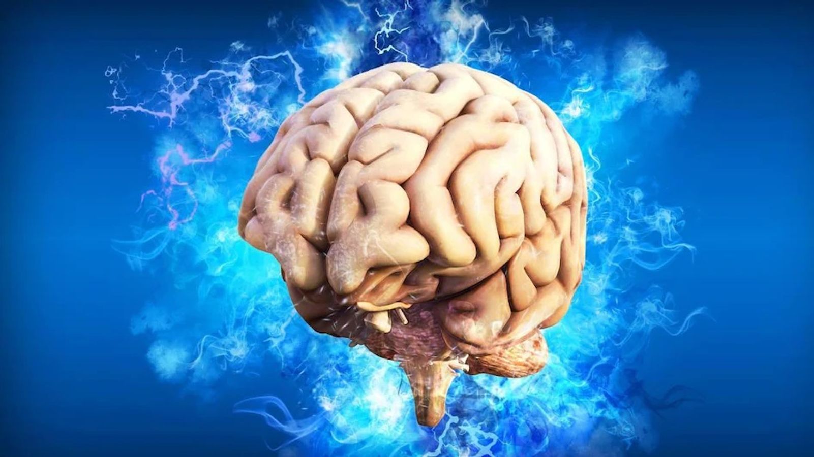 জাঙ্ক ফুড জাঙ্ক ফুড