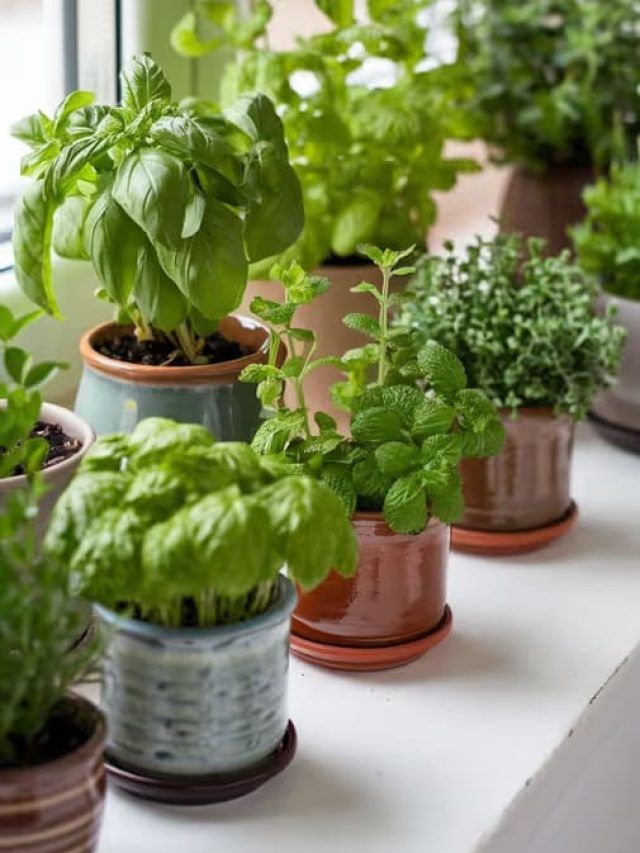 বিশ্বাস করা