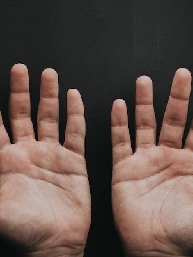 বাস্তু   বাস্তু