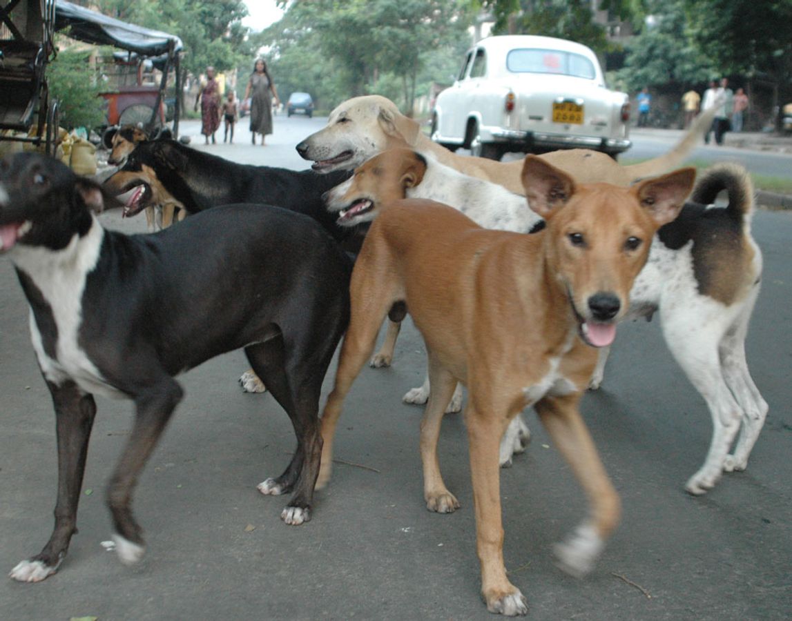 প্রত্যেকেরই জানা উচিত প্রত্যেকেরই জানা উচিত