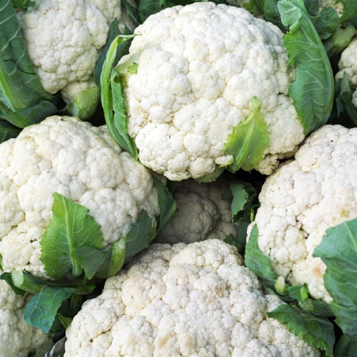 ফুলকপির রেজালা