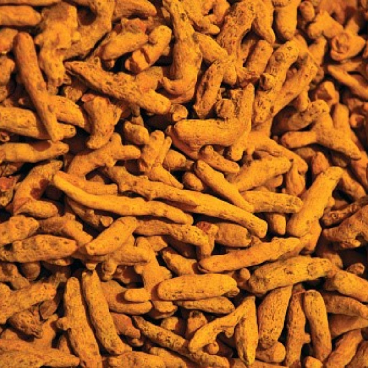    Turmeric Health Benefits