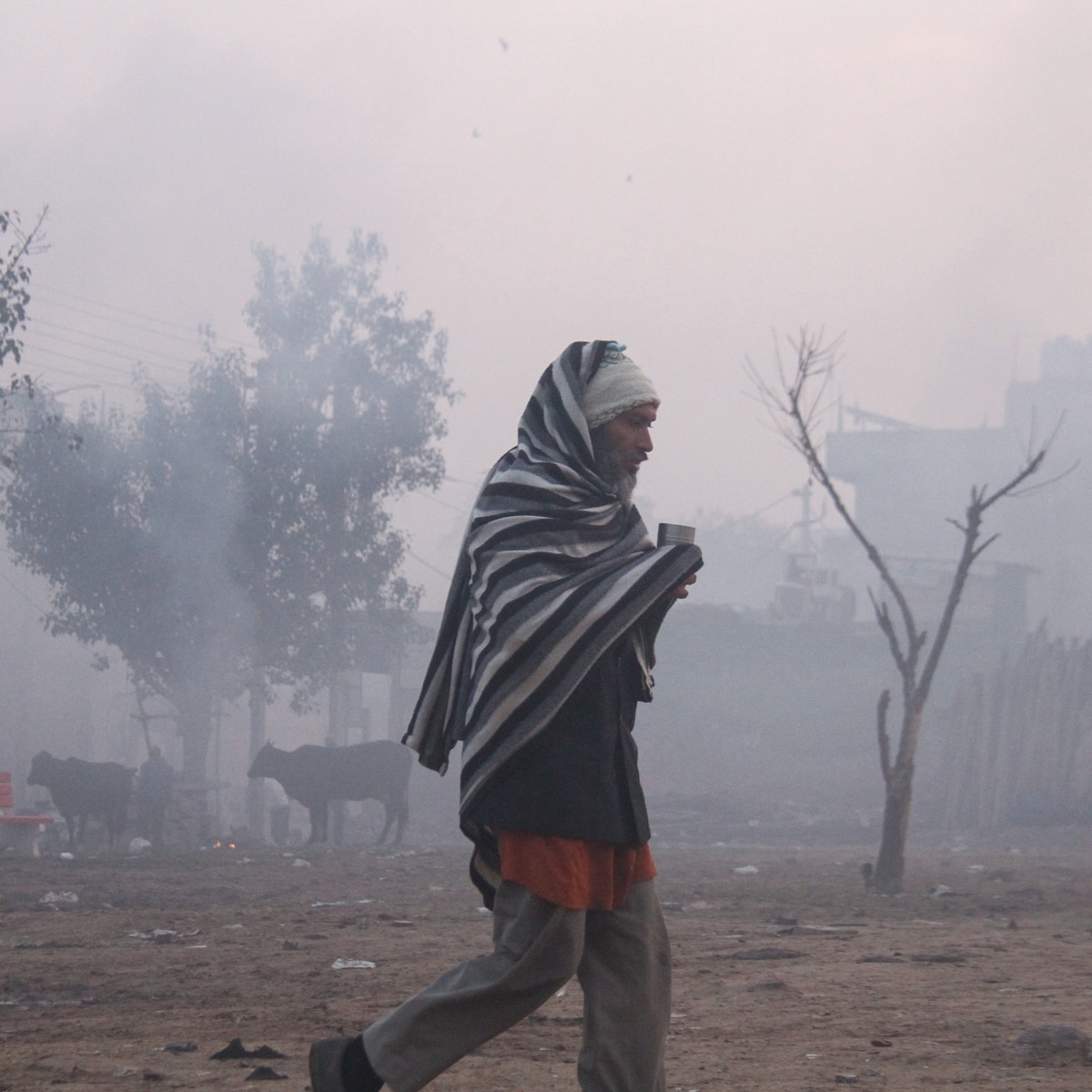 Weekly Weather Update Weekly Weather Update