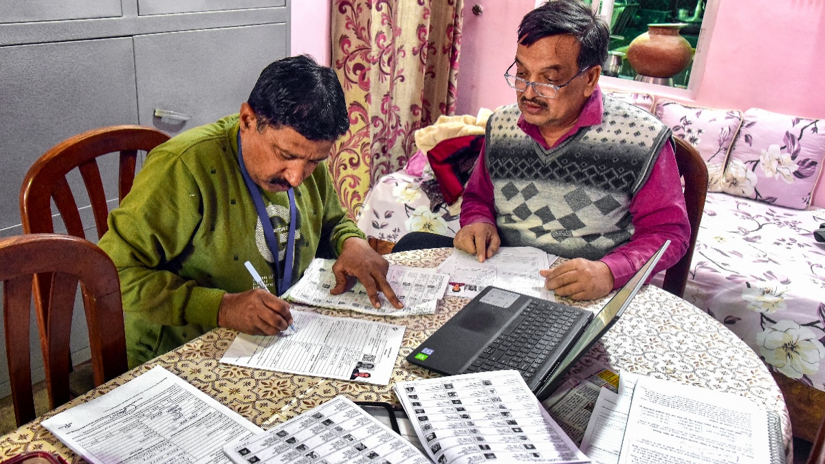 BLO Camel Ride BLO Camel Ride