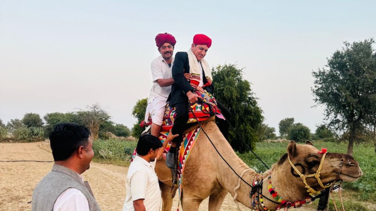 BLO Camel Ride BLO Camel Ride