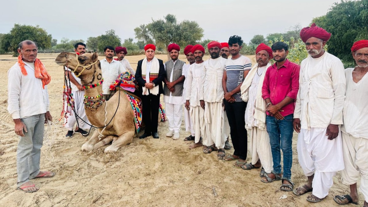 BLO Camel Ride BLO Camel Ride