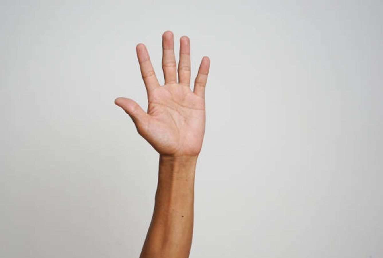 বাস্তু বাস্তু