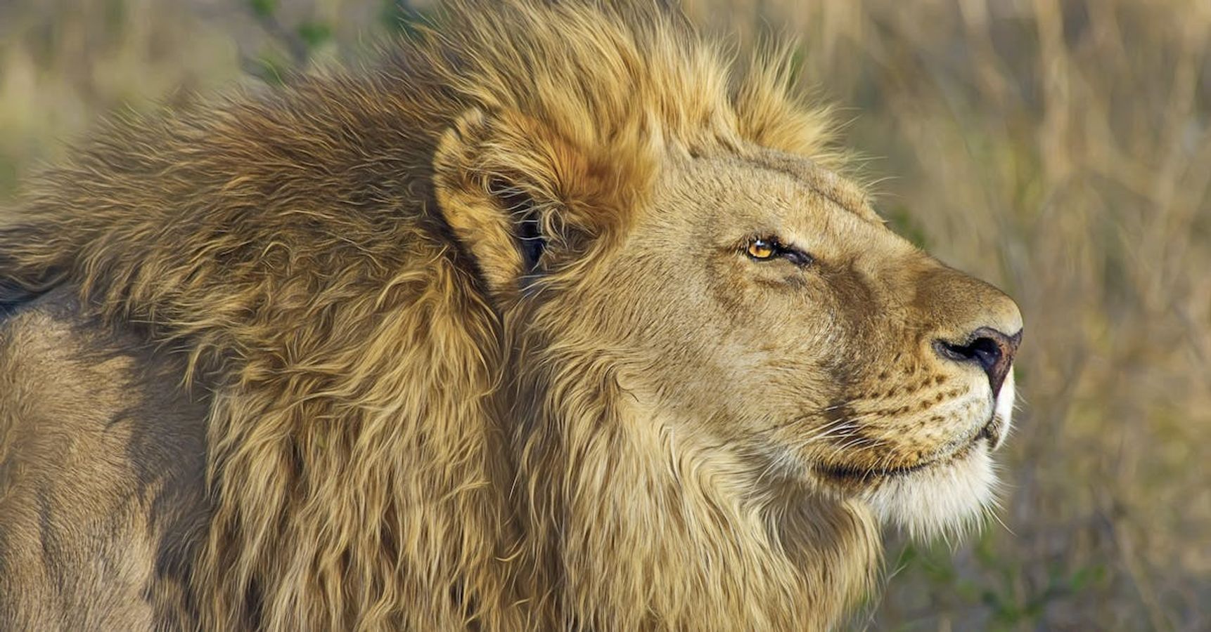 রাগের বিরুদ্ধে 