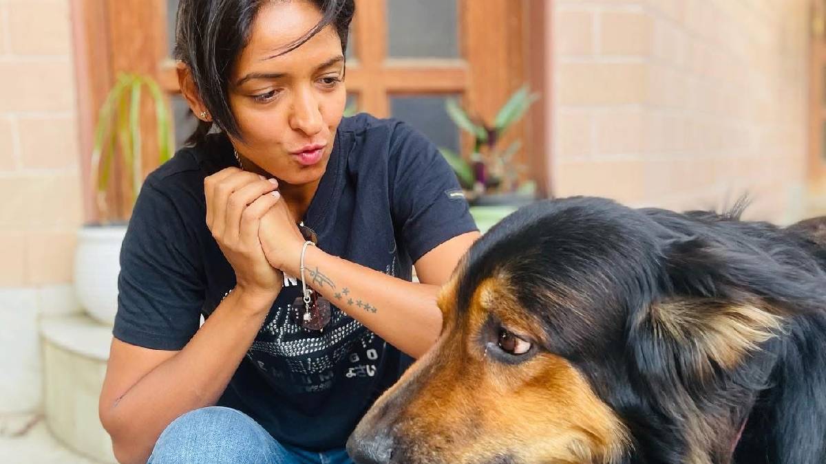 সম্পত্তি সম্পর্কে জানার আগ্রহও বেড়েছে সম্পত্তি সম্পর্কে জানার আগ্রহও বেড়েছে