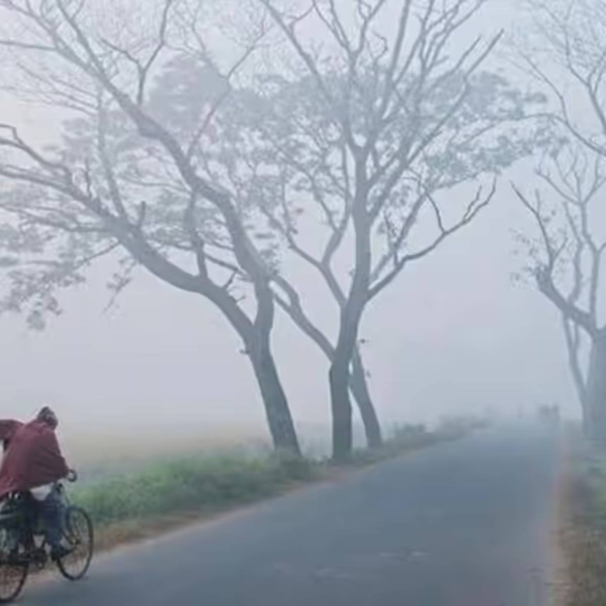 গোটা বাংলা জুড়ে শীতের প্রভাব পড়তে শুরু করে দিয়েছে। এলিডি না হ্যালোজেন কোন ধরণের হেড লাইট ব্যবহার করা উচিত?