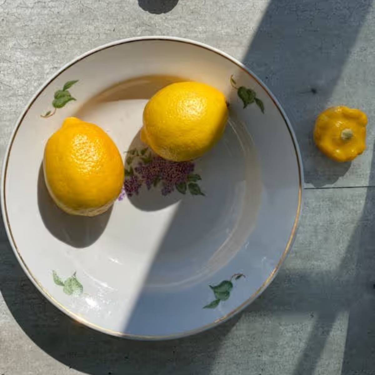 লেবুর খোসা জলে ভিজিয়ে আপনার গাছে দিন। এটি তাদের জন্য হালকা সার হিসেবে কাজ করবে।