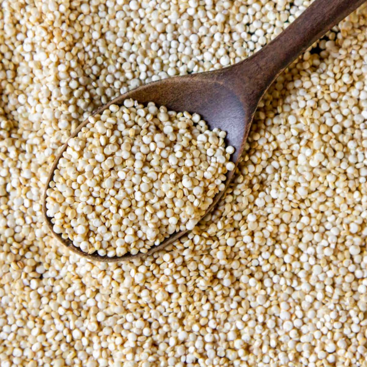 প্রোটিন শেকের পরিবর্তে, বাদাম এবং তিলের বীজ খাওয়া প্রকৃত শক্তি সরবরাহ করতে পারে। ক্যালসিয়াম, ভালো চর্বি এবং উদ্ভিজ্জ প্রোটিন সমৃদ্ধ, বাদাম এবং তিলের বীজ হাড়কে শক্তিশালী করতে এবং মনকে তীক্ষ্ণ করতে পারে।