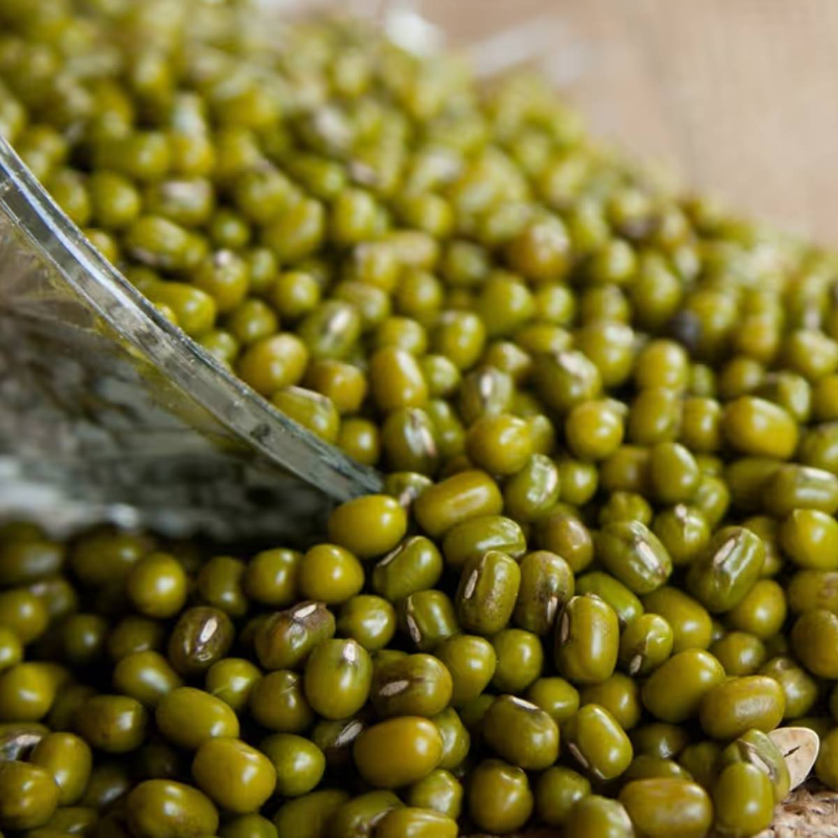 রাজগিরা, যা অমরান্থ নামেও পরিচিত, প্রোটিনের একটি চমৎকার উৎস। এটি শরীরকে শক্তি এবং শক্তির প্রাকৃতিক ভাণ্ডার প্রদান করে। ব্যায়ামের পর রাজগিরা পোরিজ শরীর এবং মন উভয়ের জন্যই অমৃতের মতো।