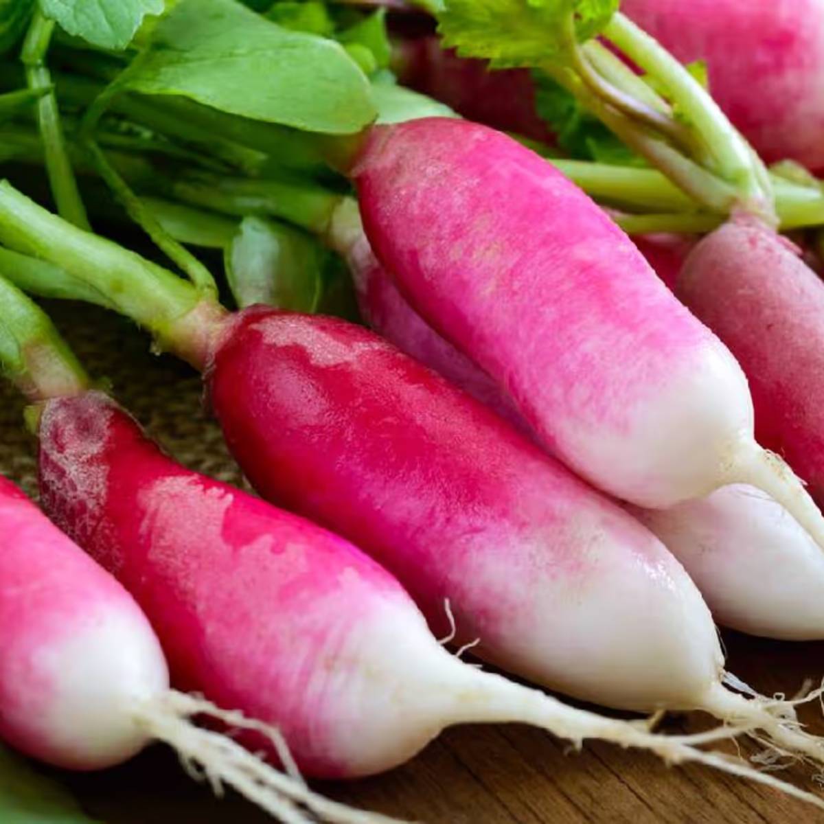 পদ্ধতি- এই রেসিপি বানানোর জন্য প্রথমে ৫০০ গ্রাম মুলো এবং একটা আলু ছোট ছোট করে টুকরো করে কেটে নিন। তারপর এক মুঠো মুসুরির ডাল জলে ভিজিয়ে রেখে দিন। পদ্ধতি- এই রেসিপি বানানোর জন্য প্রথমে ৫০০ গ্রাম মুলো এবং একটা আলু ছোট ছোট করে টুকরো করে কেটে নিন। তারপর এক মুঠো মুসুরির ডাল জলে ভিজিয়ে রেখে দিন।