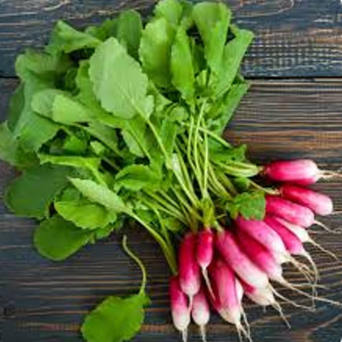 বাজারে হরেক রকম সবজির মধ্যে মুলোও পাওয়া যায়। তবে সাধারণত বাচ্চা থেকে বড়রা মুলো খুব একটা খেতে পছন্দ করেন না। বাজারে হরেক রকম সবজির মধ্যে মুলোও পাওয়া যায়। তবে সাধারণত বাচ্চা থেকে বড়রা মুলো খুব একটা খেতে পছন্দ করেন না।