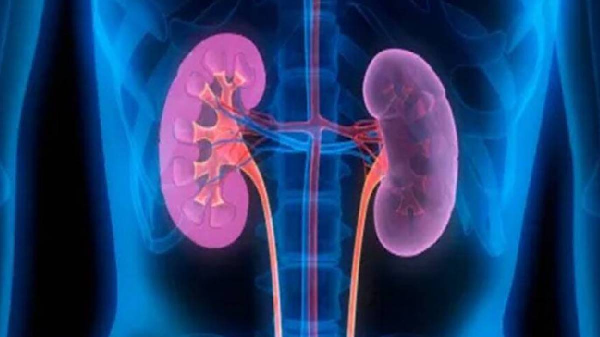 আমাদের কিছু ভুলেই কিডনির বেজে যাচ্ছে বারোটা