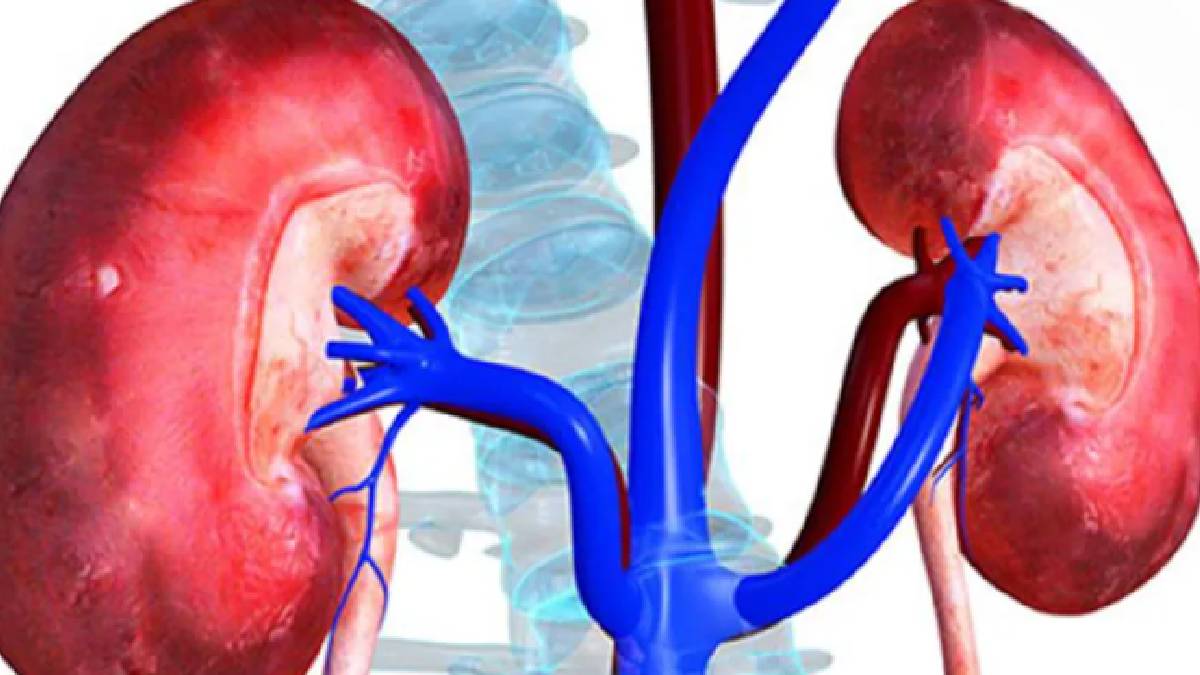এই কারণে অনেক ক্ষেত্রেই পিছু নিচ্ছে ক্রনিক কিডনির অসুখ