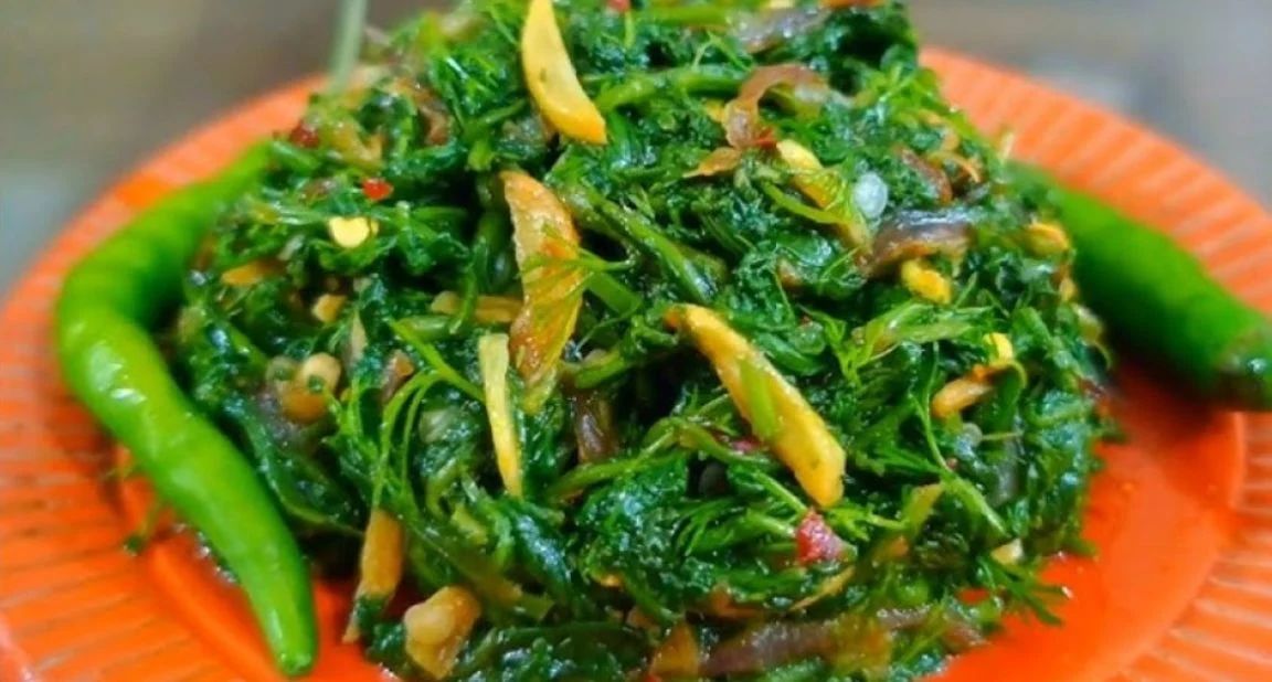 বৈজ্ঞানিক দিক বৈজ্ঞানিক দিক