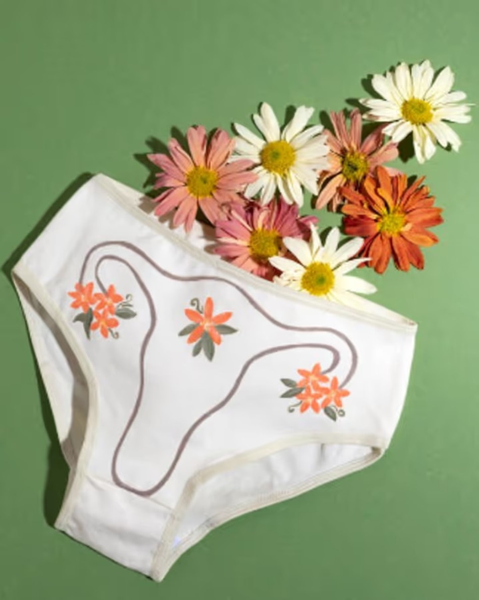 period panty period panty