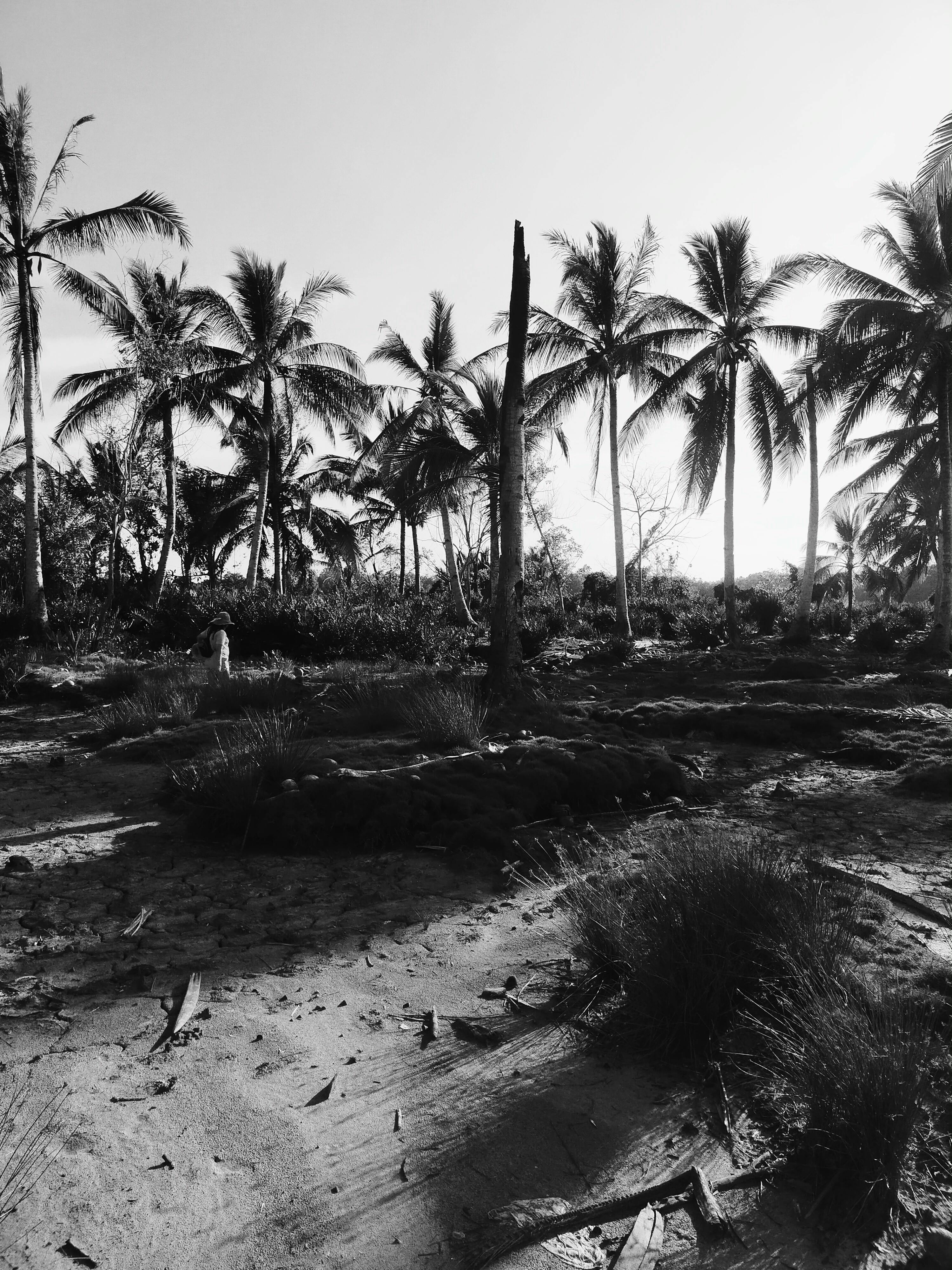 ১২ লক্ষ টন বারুদ বিস্ফোরণ ঘটার সমান