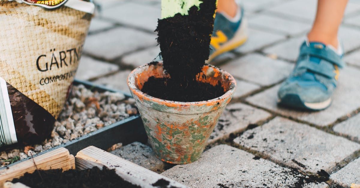 ভাল মানে ভাল মানে