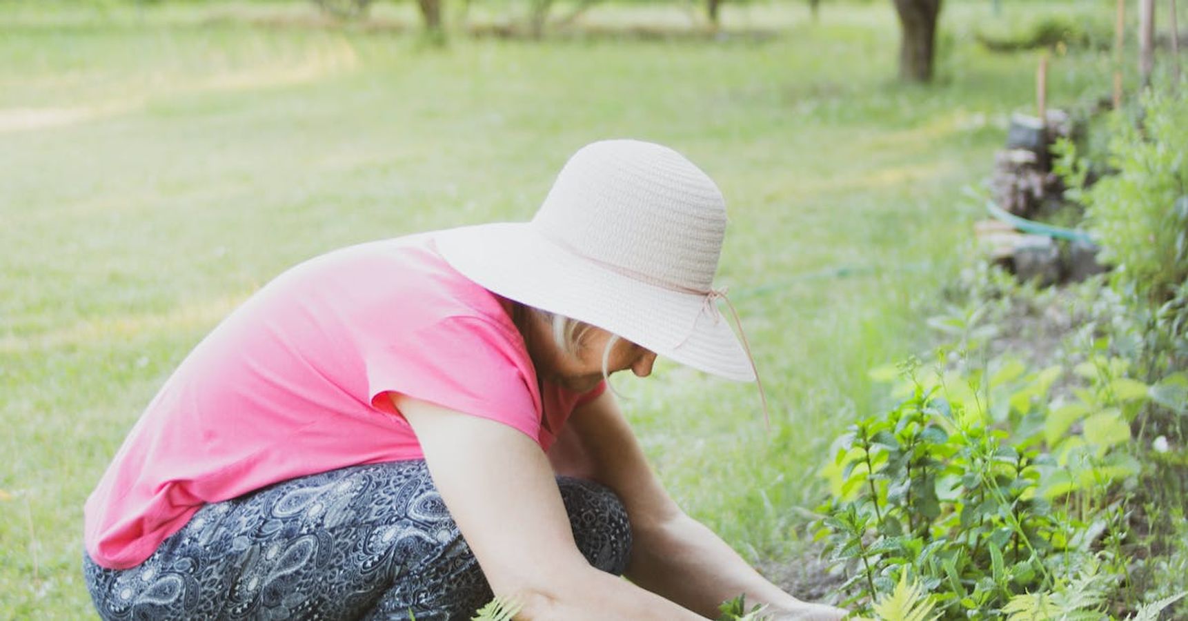 বাগান বাগান