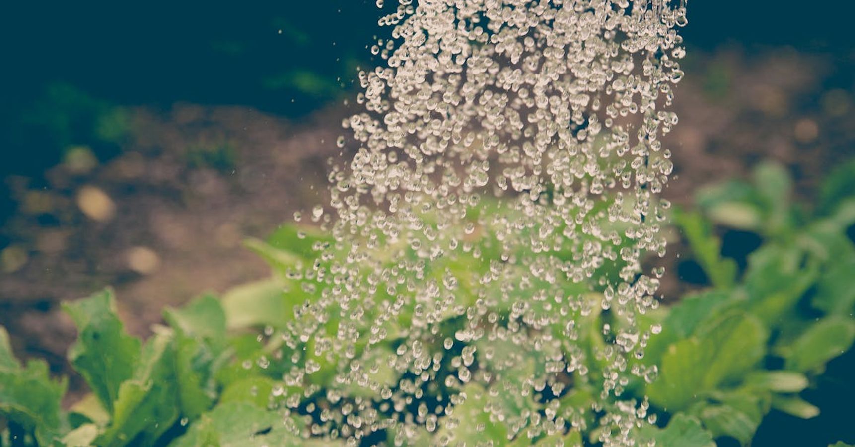 অতিরিক্ত সার অতিরিক্ত সার