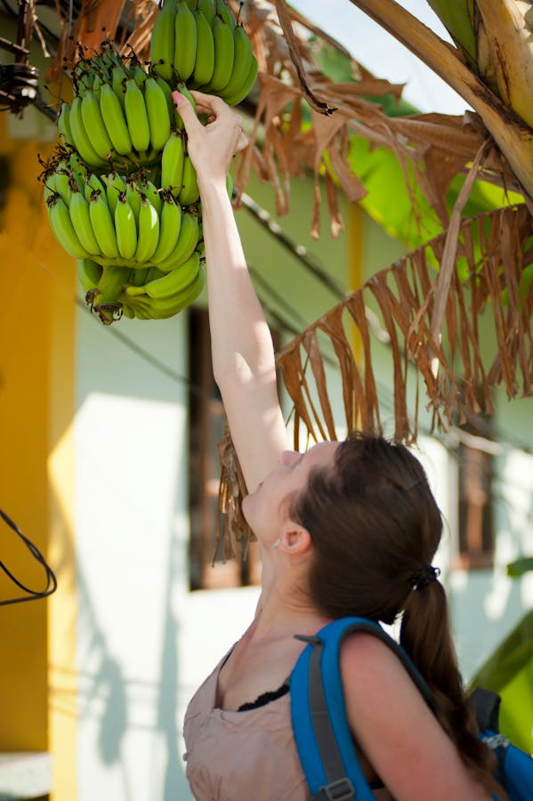 Banana Tree Vastu Direction