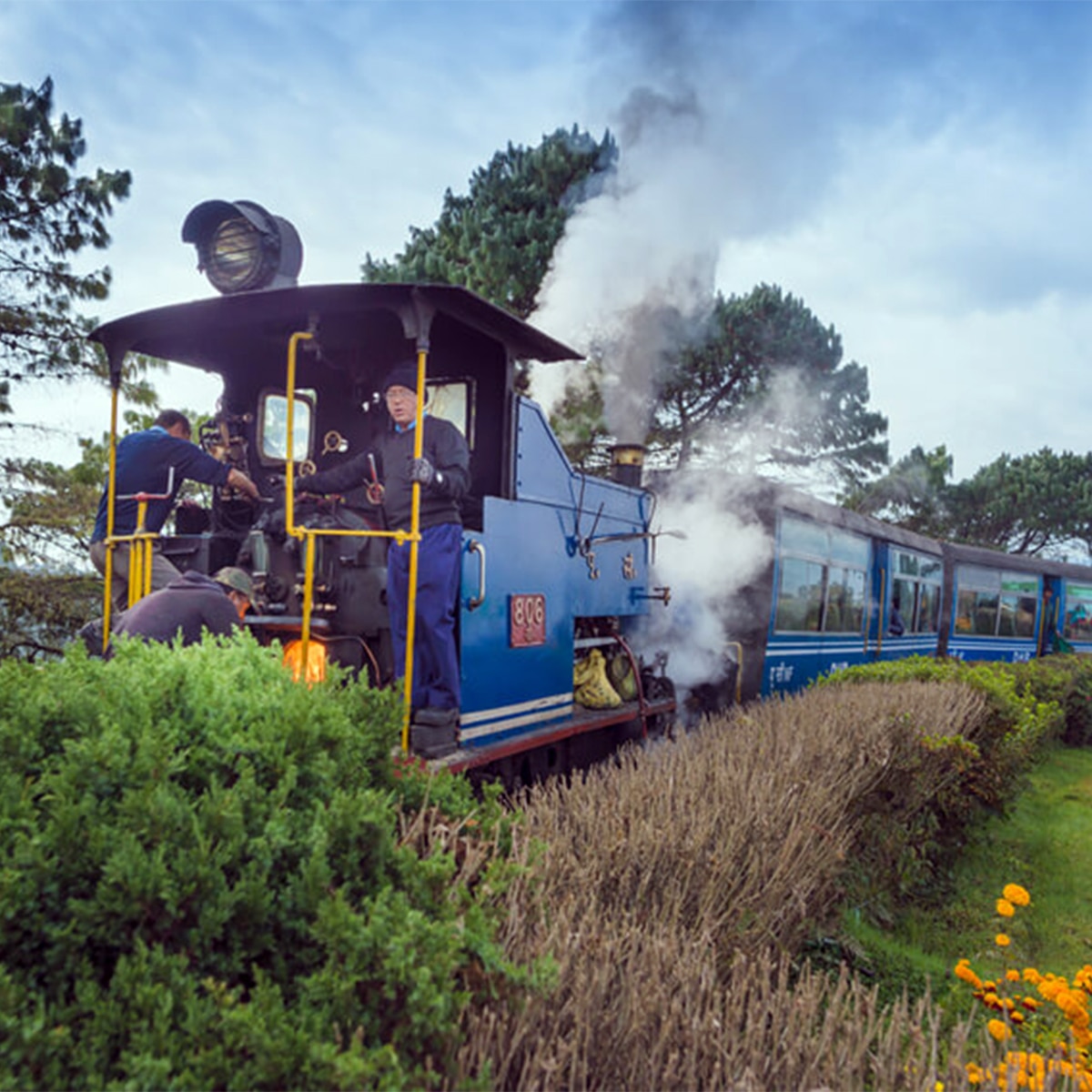 টয়ট্রেন