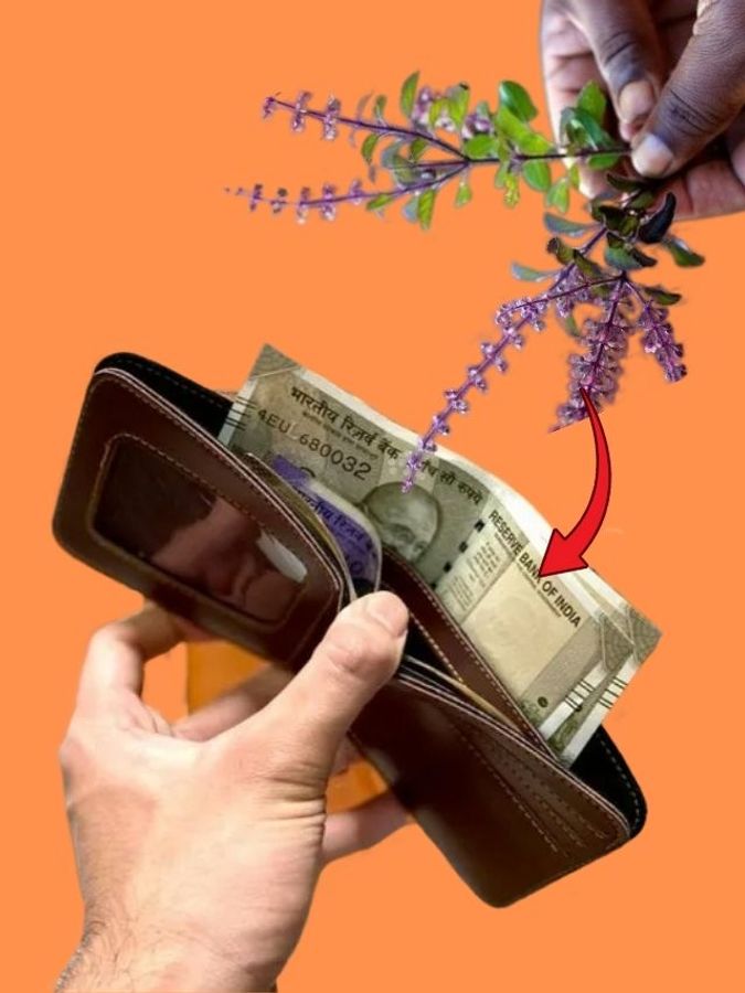 দ্রষ্টব্য