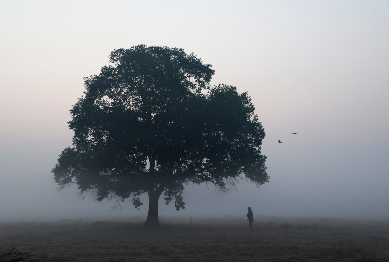 Weekly Winter Weather Update