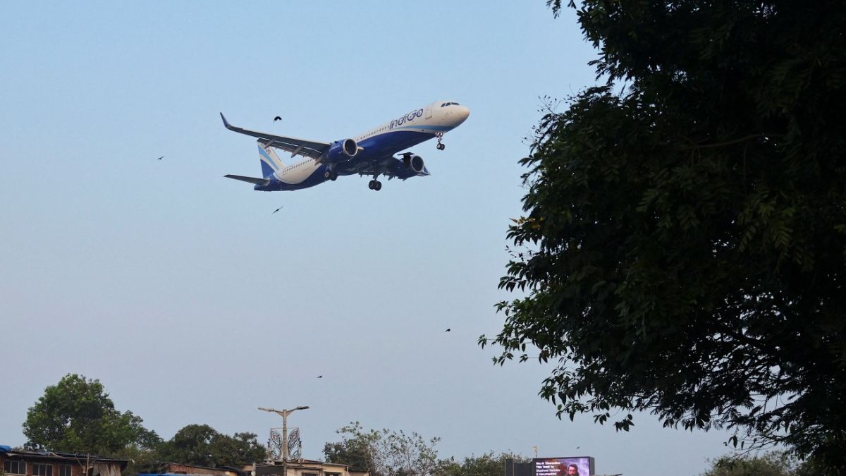 কেন IndiGo-ই সবচেয়ে বেশি সমস্যায়?