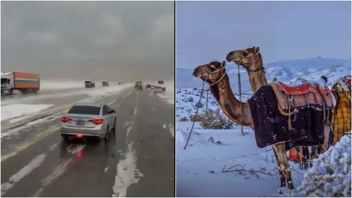 Saudi Arabia Snowfall 