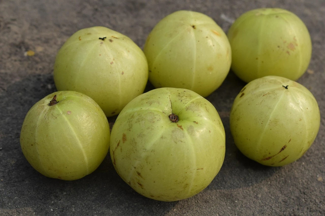 People Who Should Never Eat Amla People Who Should Never Eat Amla