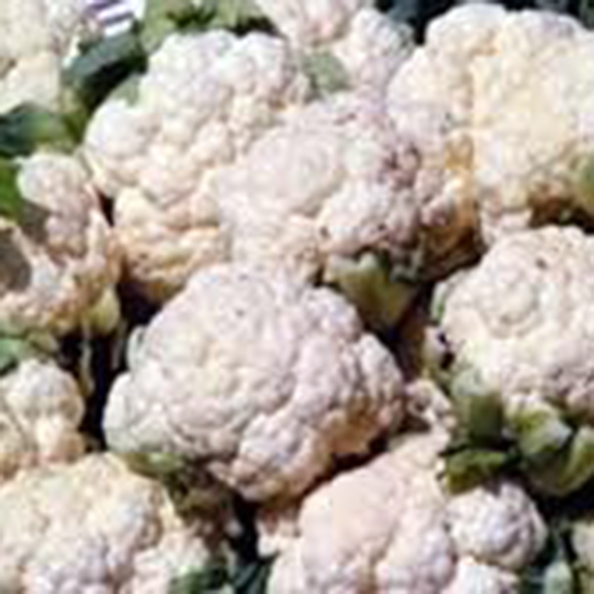 ফুলকপির কালিয়া ফুলকপির কালিয়া