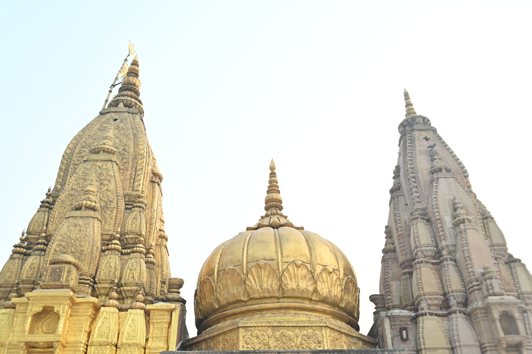 Kashi Vishwanath Temple Kashi Vishwanath Temple