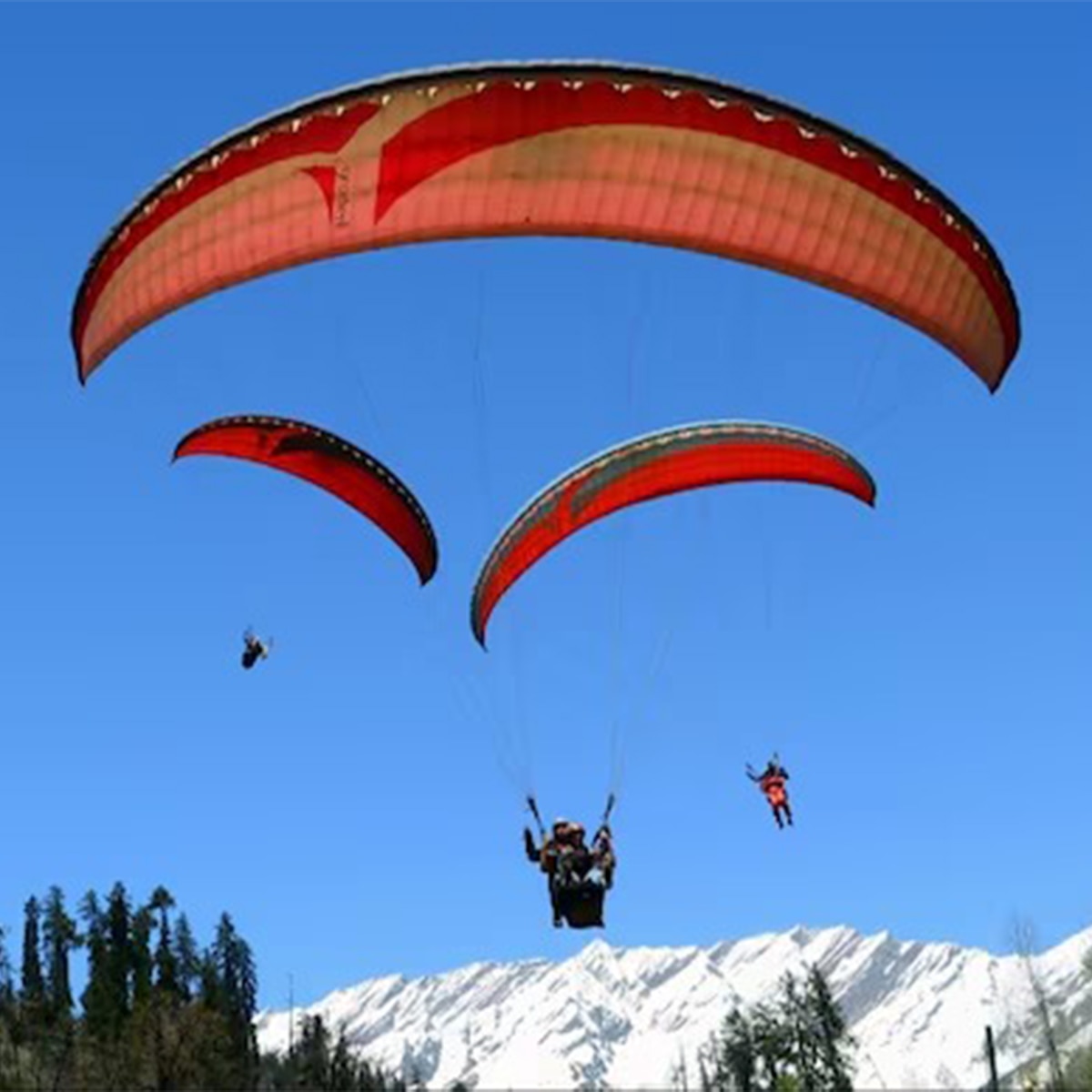 সিকিমে প্যারাগ্লাইডিং