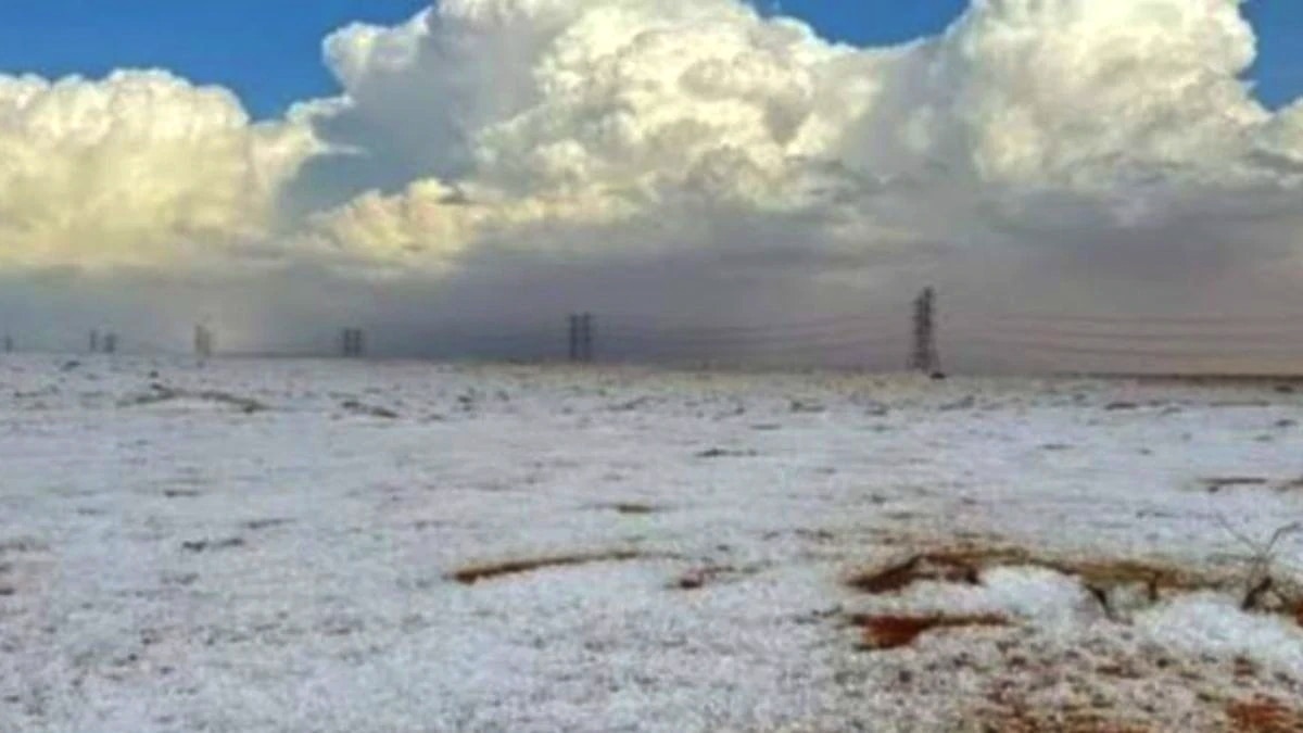 Saudi Arabia Snowfall 